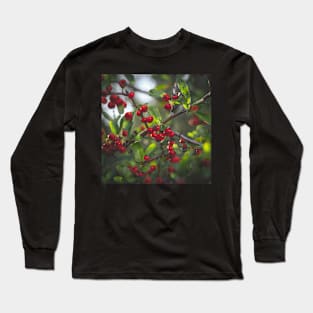 Berries Long Sleeve T-Shirt